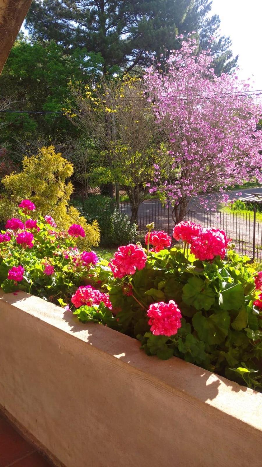 La Casona Del Lago Balneario Ipora ภายนอก รูปภาพ